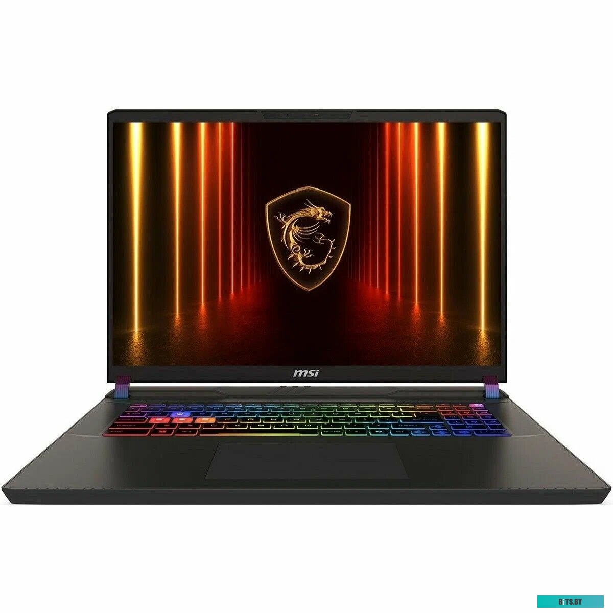 Игровой ноутбук MSI Vector 16 HX A14VIG-807BY