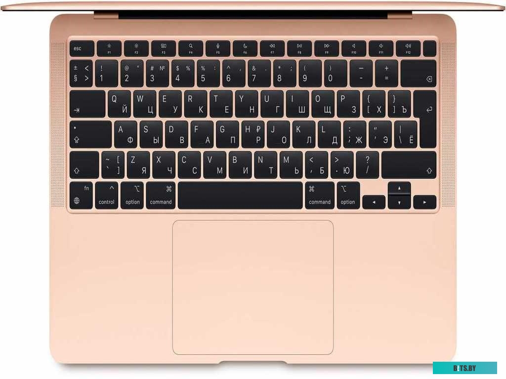 MGN93LL/A_KIT Apple Macbook Air 13" M1 2020 MGN93LL/A + сетевой переходник Electraline 70026