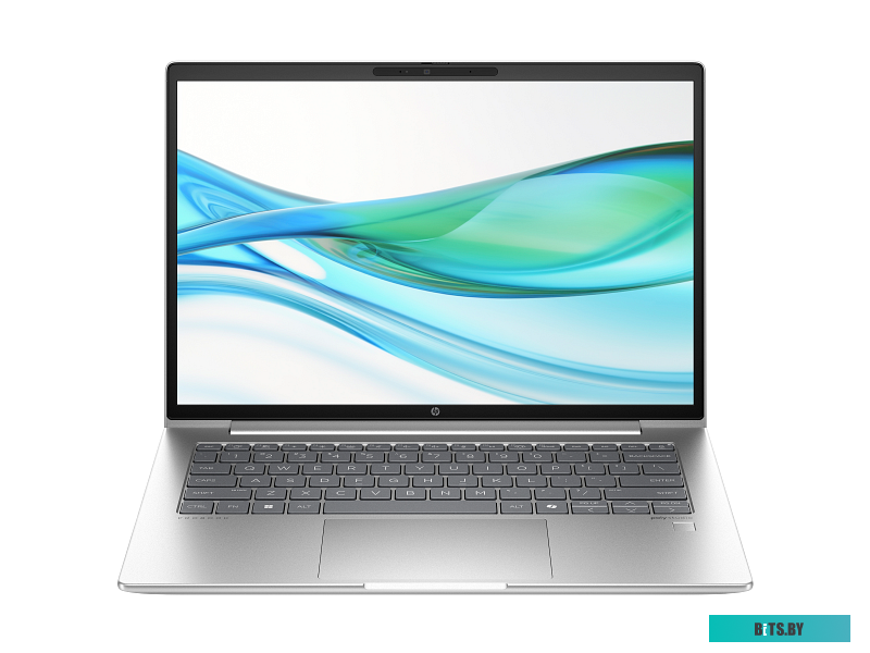 Ноутбук HP ProBook 440 G11 A22YBEA#BH5