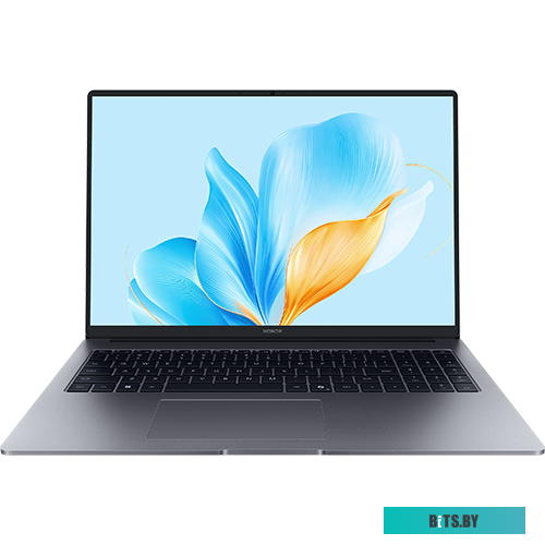 Ноутбук Honor MagicBook X16 2025 GOH-X Cloud Gray (5301APLP) 5301APLP