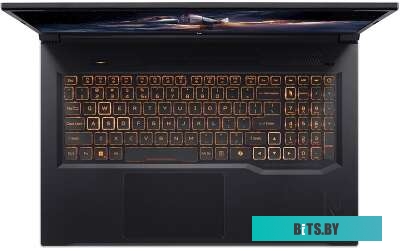 Acer Nitro V 17 AI ANV17-41-R6A6 NH.QYVCD.005_32Win11P