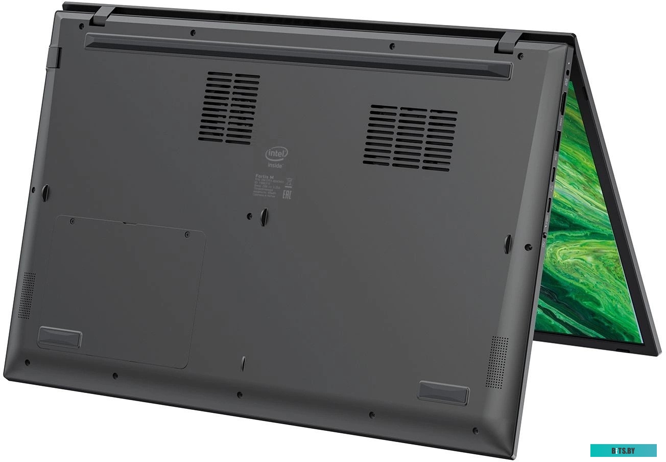 Ноутбук Digma Pro Fortis M DN17P3-8DXW01