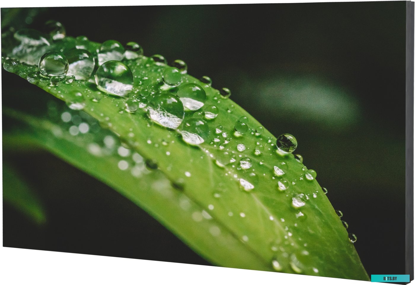 DHI-LS550UEH-UG Тонкошовная ЖК панель Dahua [DHI-LS550UEH-UG]