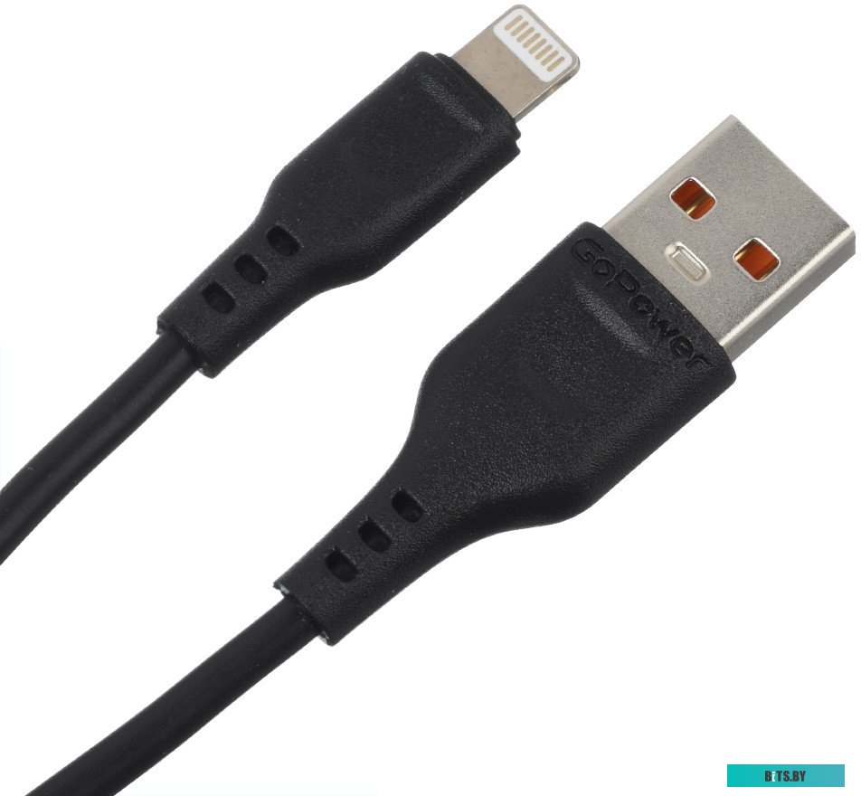 Автомобильное Зарядное Устройство GoPower GPC07-2U 2USB черный 00-00022626