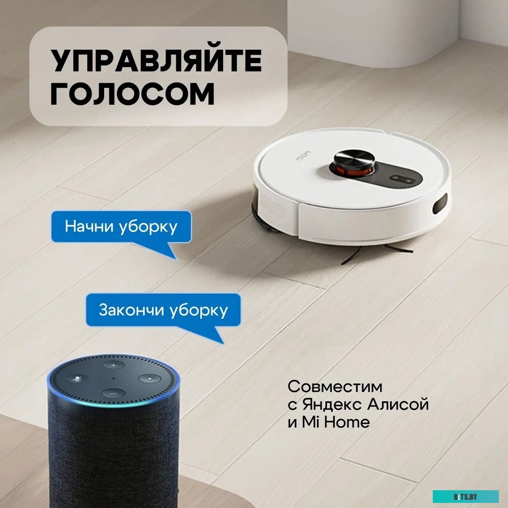 Робот-пылесос Roidmi Robot Vacuum and Mop Cleaner EVE ROOK S (SDJ03RM) SDJ03RM