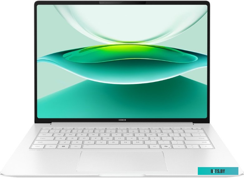 Ноутбук Honor MagicBook Pro 14 5301ANXJ