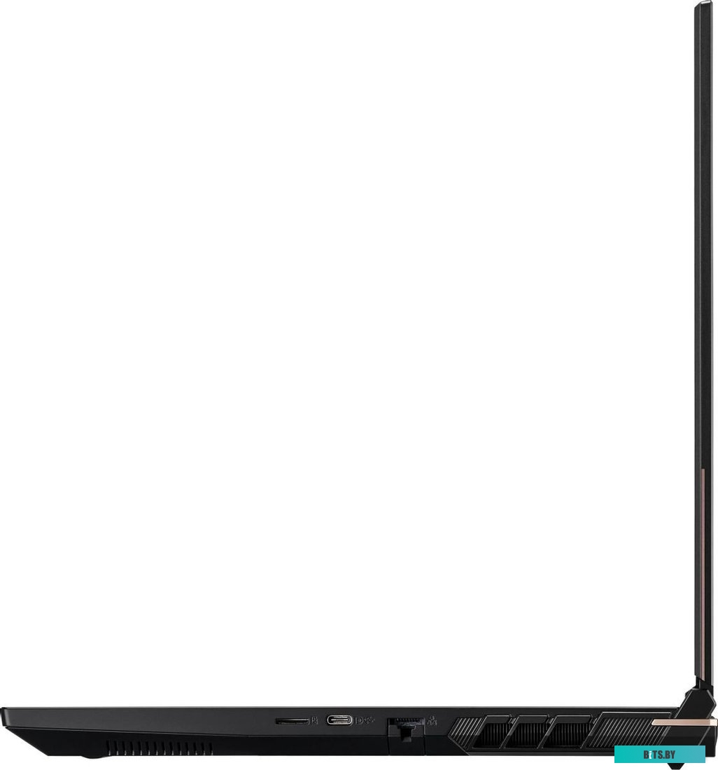 Ноутбук Colorful EVOL X17 PRO MAX A10205400061