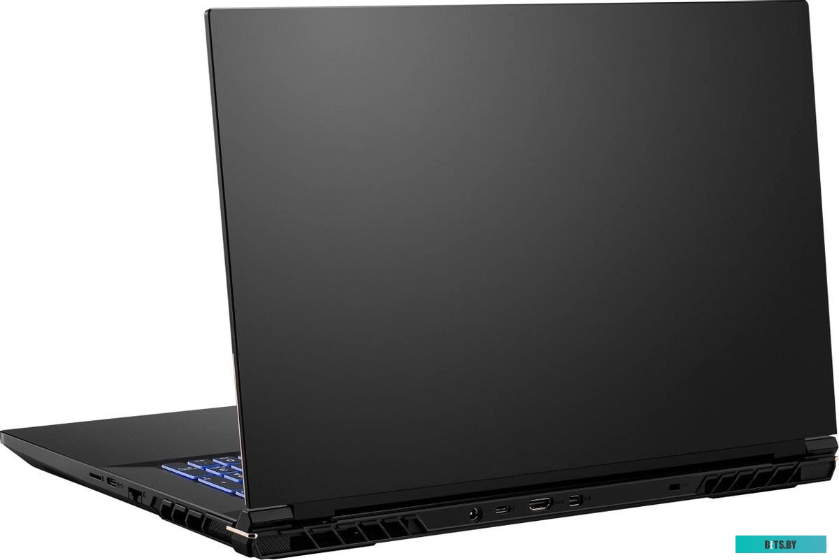 Ноутбук Colorful EVOL X17 Pro Max A10205400062