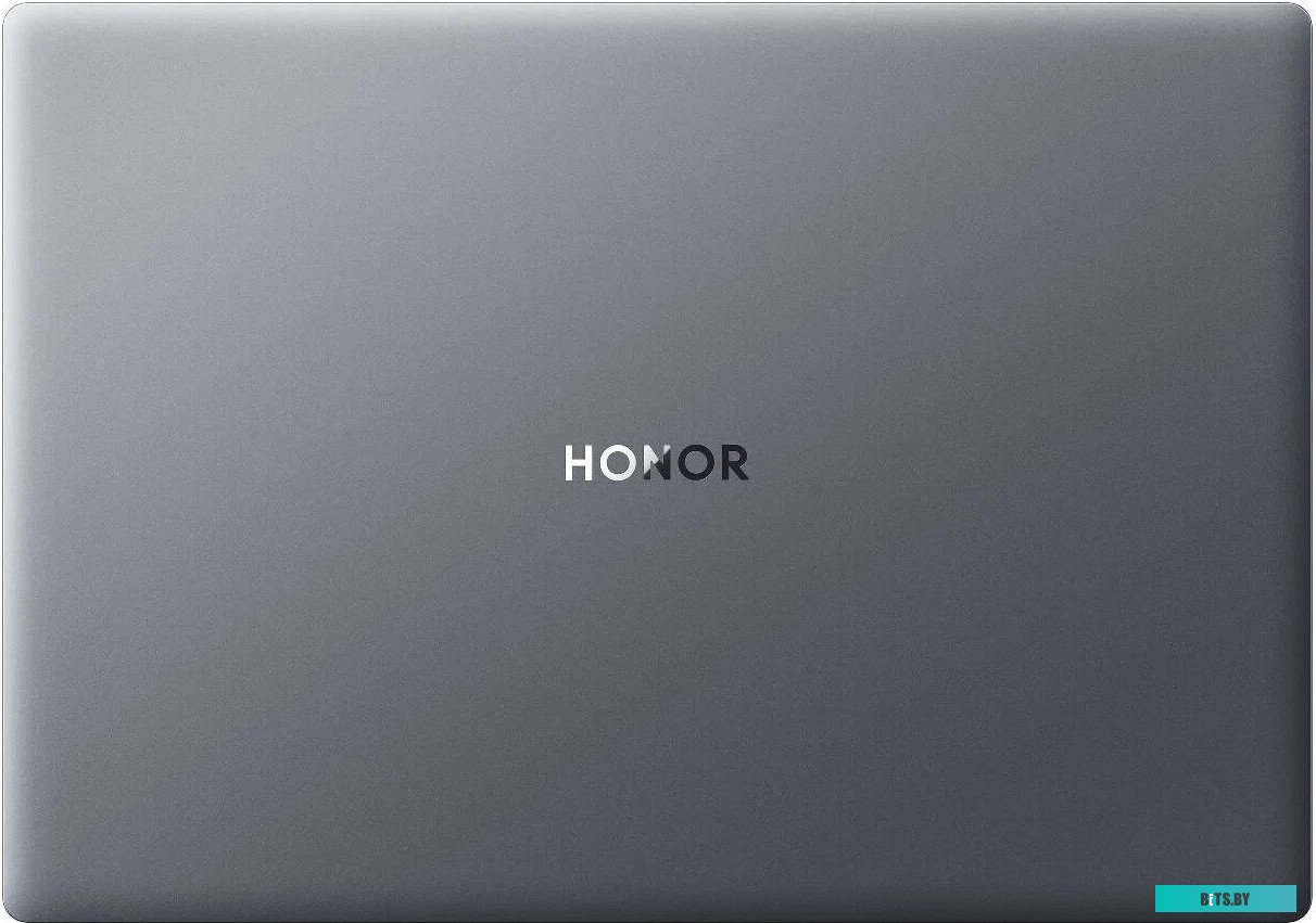 Ноутбук HONOR MagicBook X16 2024 BRN-H56 5301AJYD