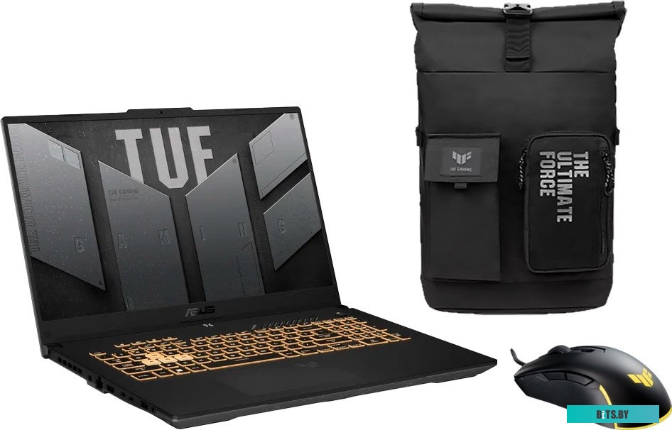 Ноутбук ASUS TUF Gaming F17 FX707VJ-HX042
