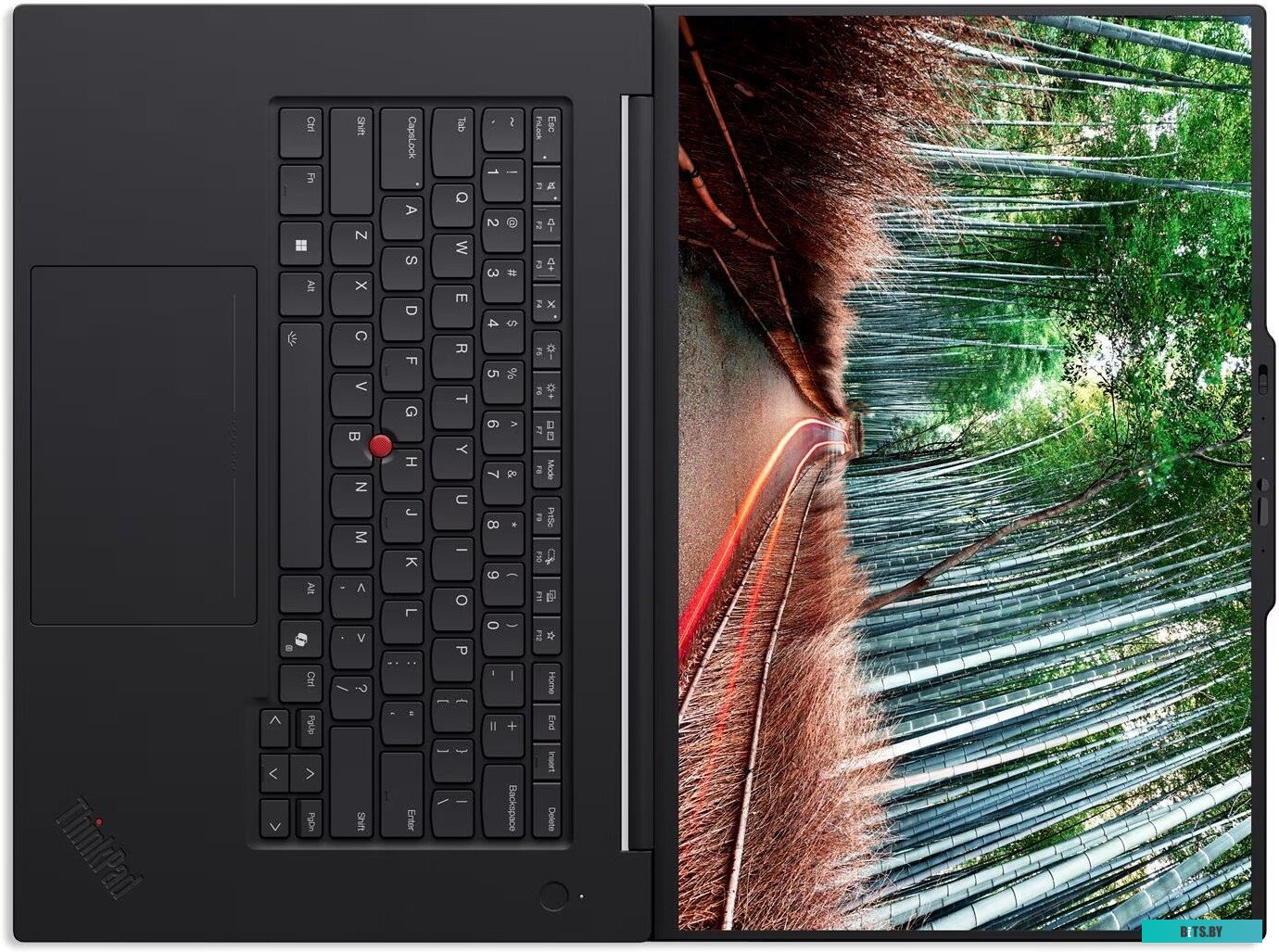 Lenovo ThinkPad P1 Gen 8 21Q80026US 21Q80026US