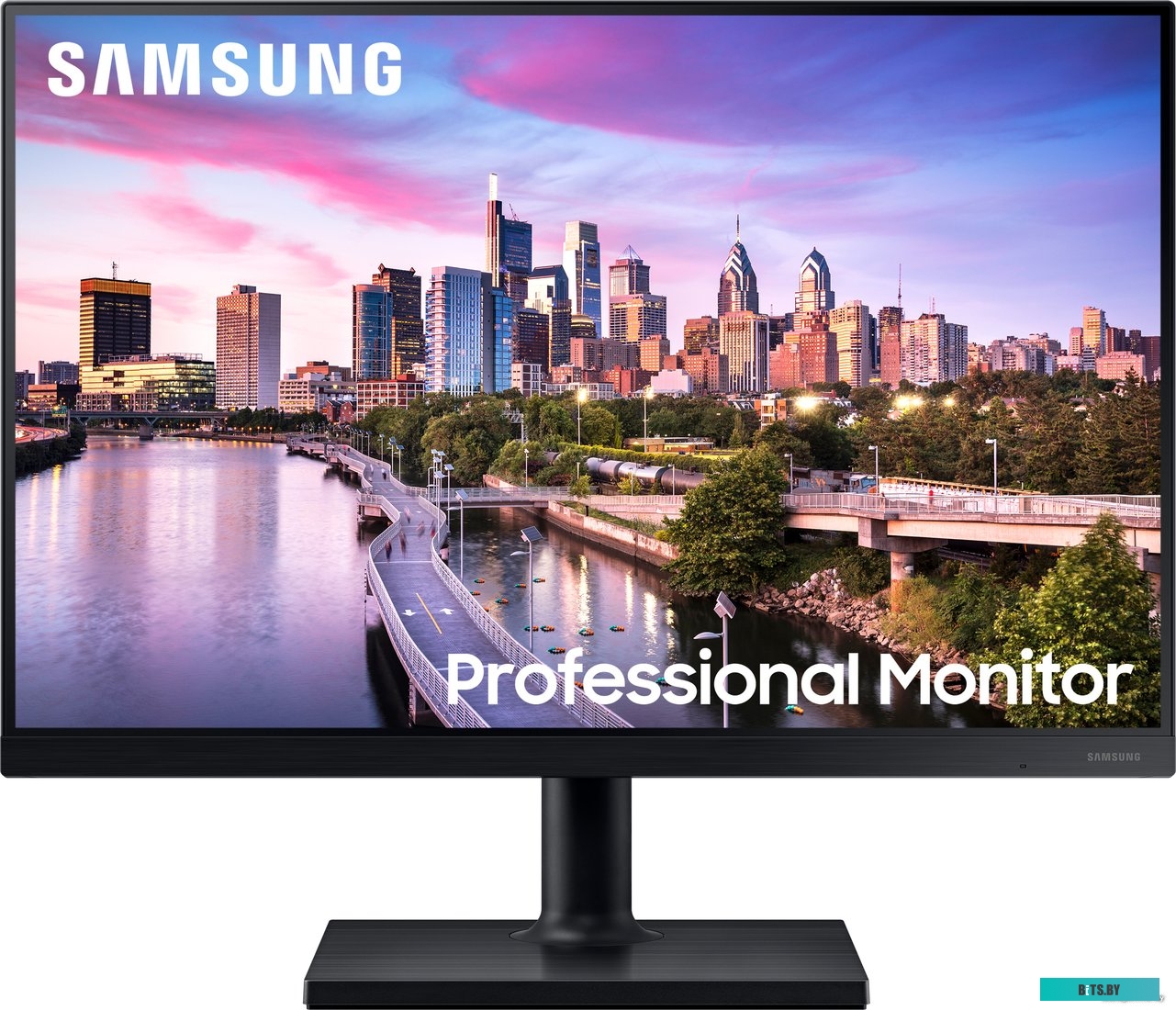 Монитор Samsung Essential T4 LF24T450GYUXEN