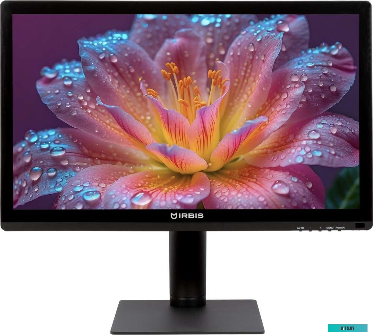 Монитор IRBIS SmartView ISM24FIDT