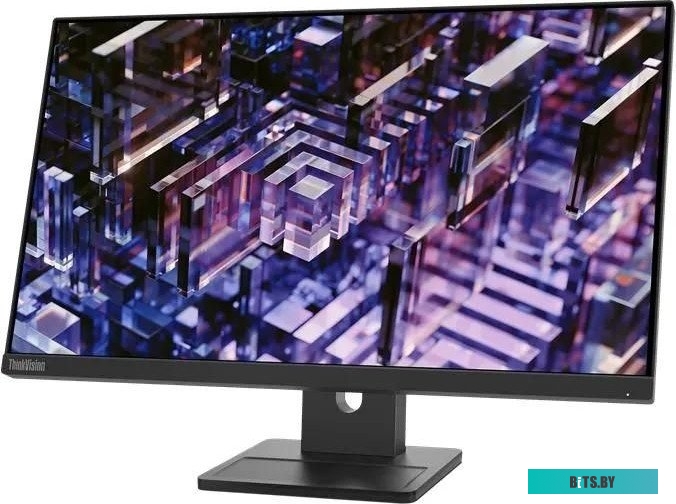 23.8" Монитор Lenovo ThinkVision E24q-30 [63ecgat2uk] 63ECGAT2UK