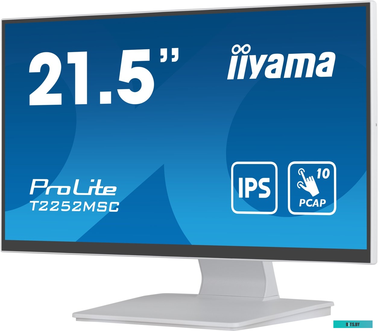 Монитор Iiyama ProLite T2252MSC-W2