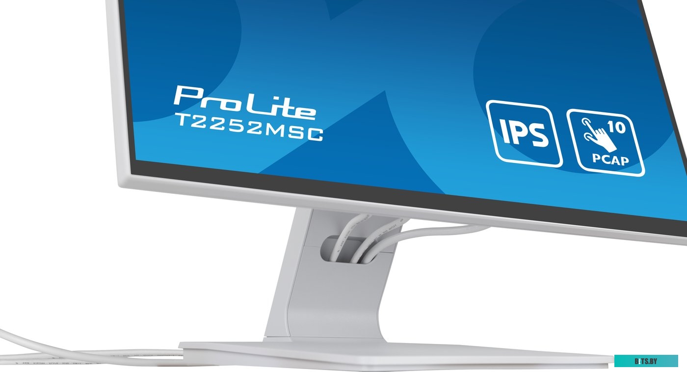 Монитор Iiyama ProLite T2252MSC-W2