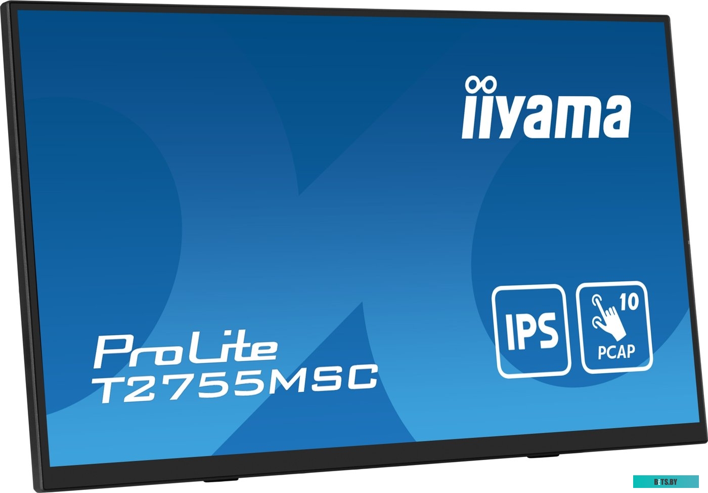 Портативный монитор Iiyama ProLite T2755MSC-B1