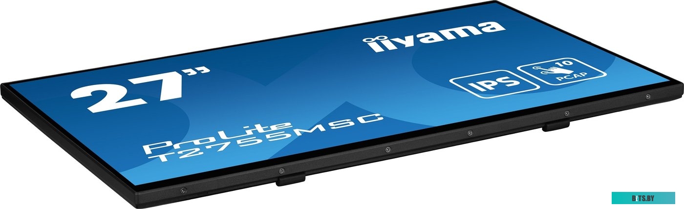 Портативный монитор Iiyama ProLite T2755MSC-B1