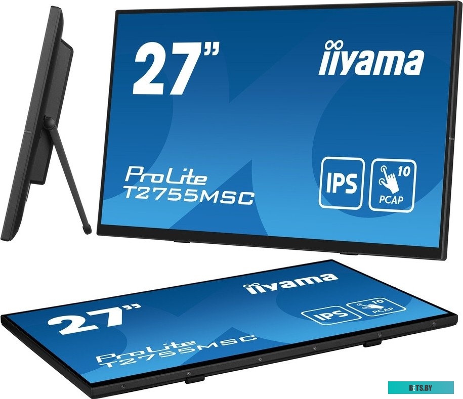Портативный монитор Iiyama ProLite T2755MSC-B1
