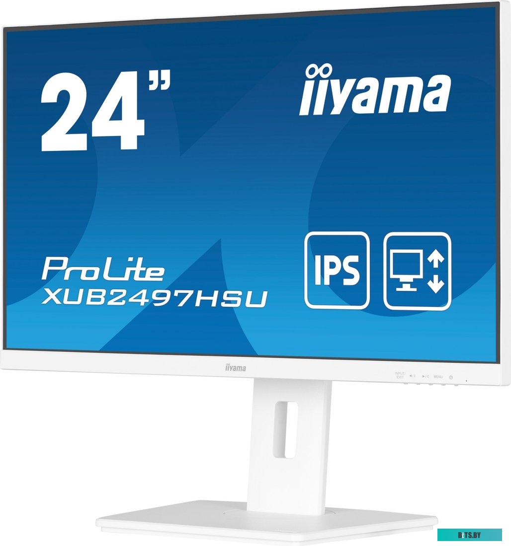 Монитор Iiyama ProLite XUB2497HSU-W2