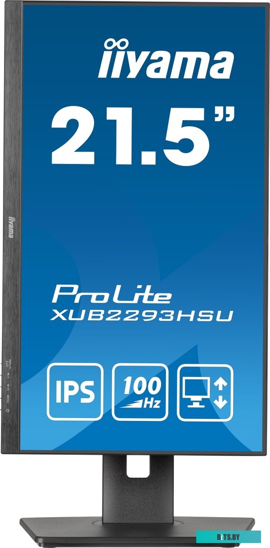 Монитор Iiyama ProLite XUB2293HSU-B7