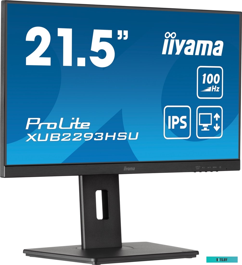 Монитор Iiyama ProLite XUB2293HSU-B7