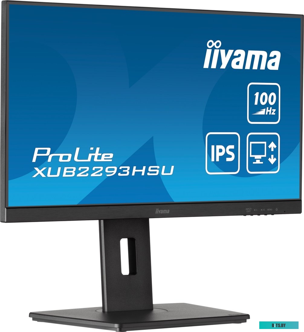 Монитор Iiyama ProLite XUB2293HSU-B7
