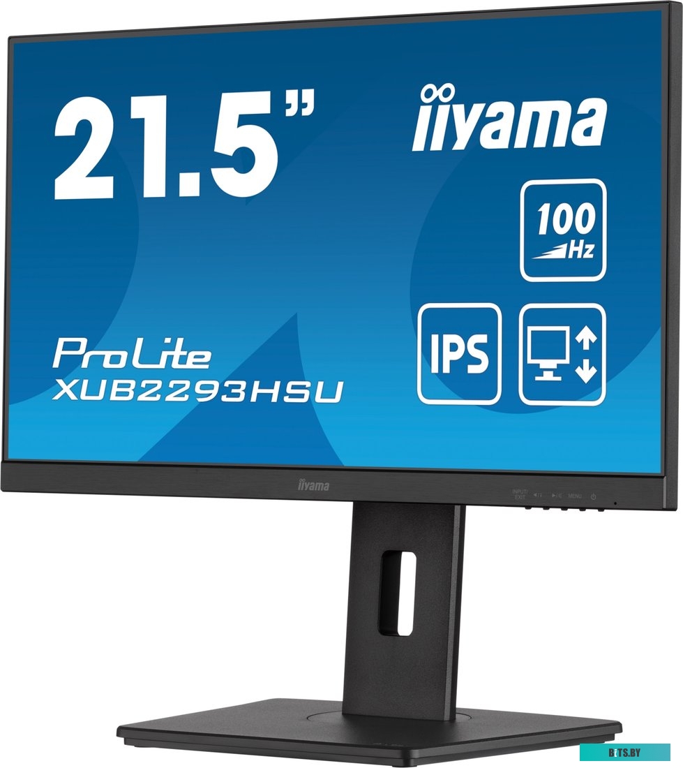Монитор Iiyama ProLite XUB2293HSU-B7
