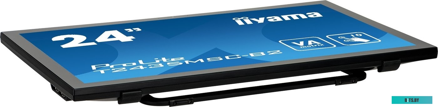 Портативный монитор Iiyama ProLite T2435MSC-B2