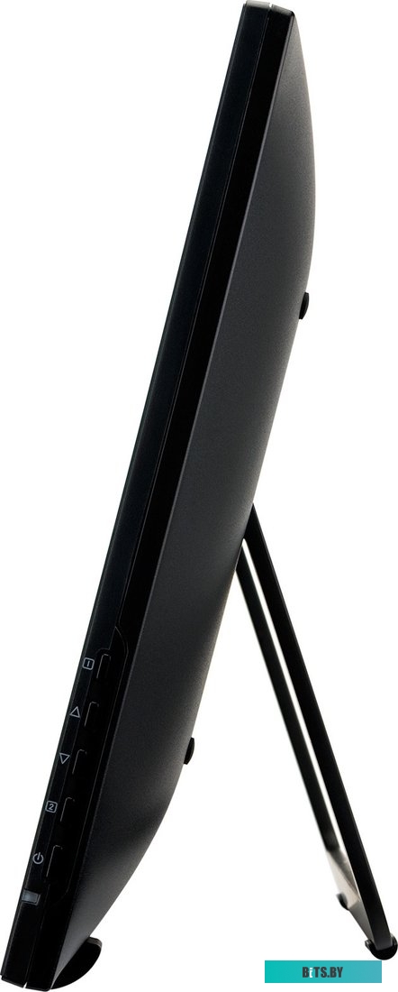 Портативный монитор Iiyama ProLite T2435MSC-B2