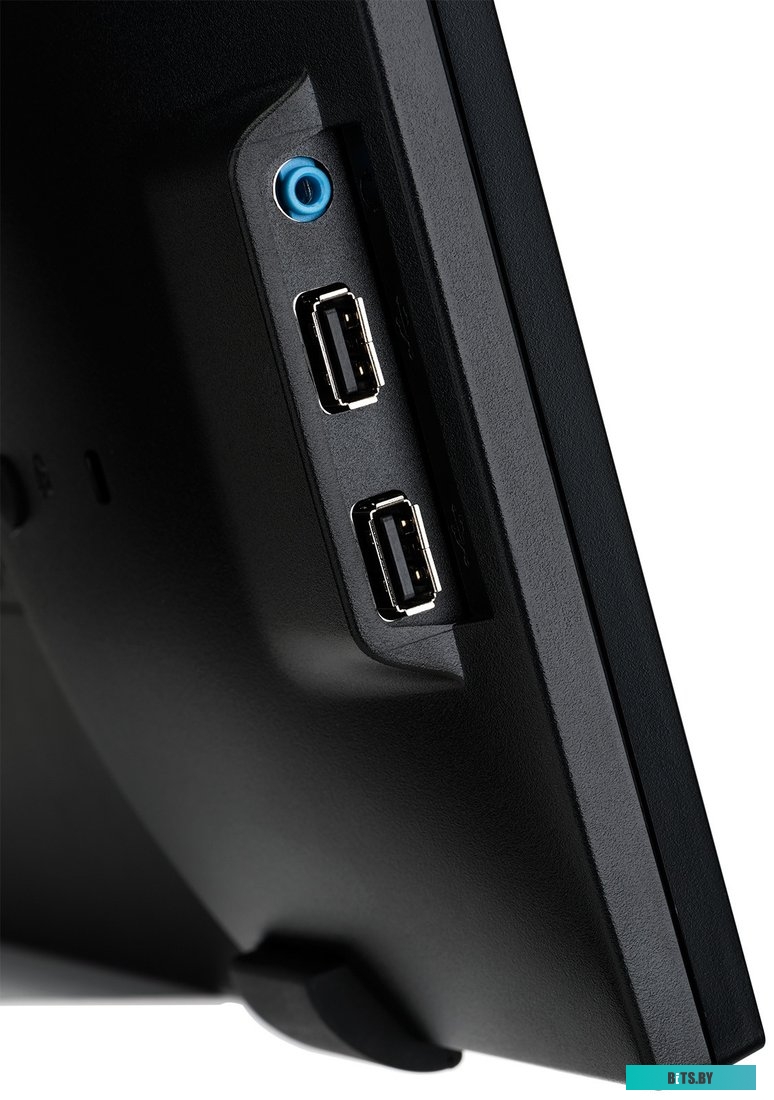 Портативный монитор Iiyama ProLite T2435MSC-B2