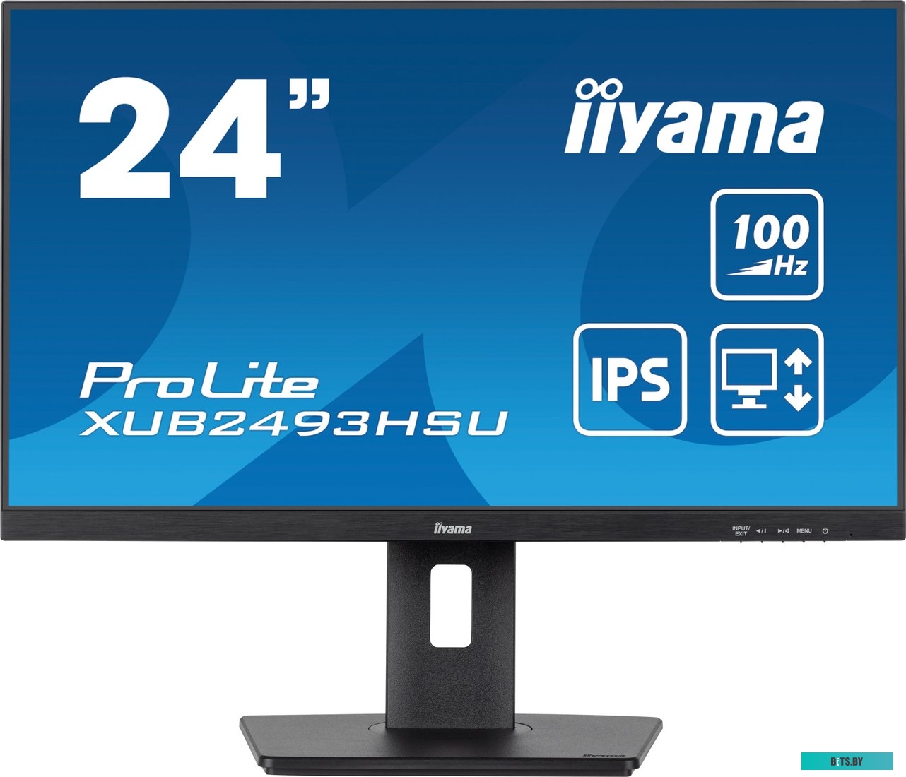 Монитор Iiyama ProLite XUB2493HSU-B7
