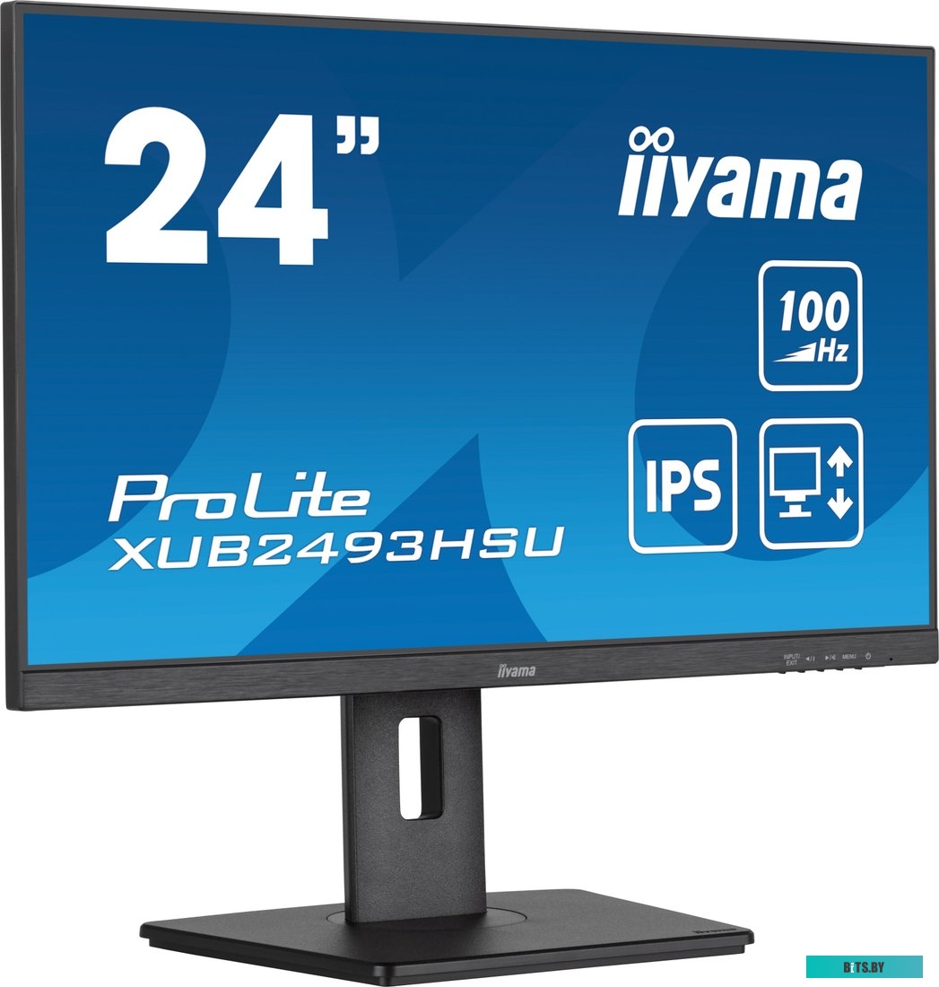 Монитор Iiyama ProLite XUB2493HSU-B7