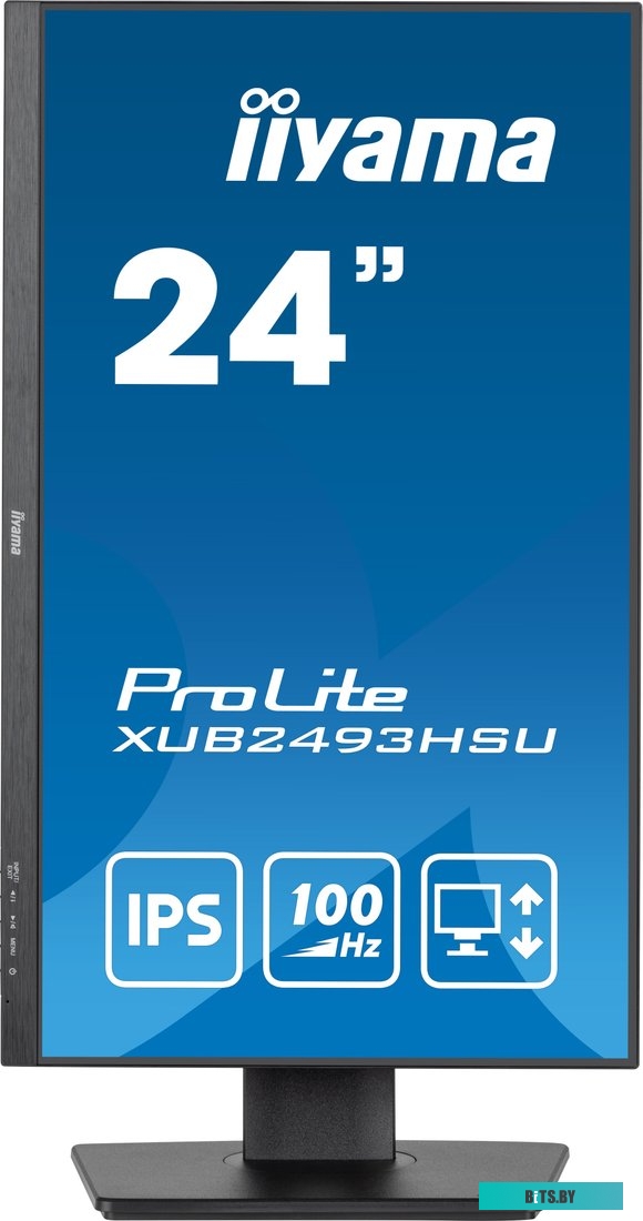 Монитор Iiyama ProLite XUB2493HSU-B7