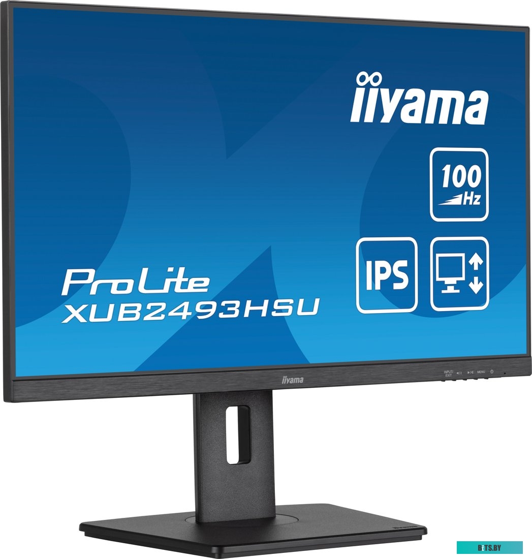 Монитор Iiyama ProLite XUB2493HSU-B7