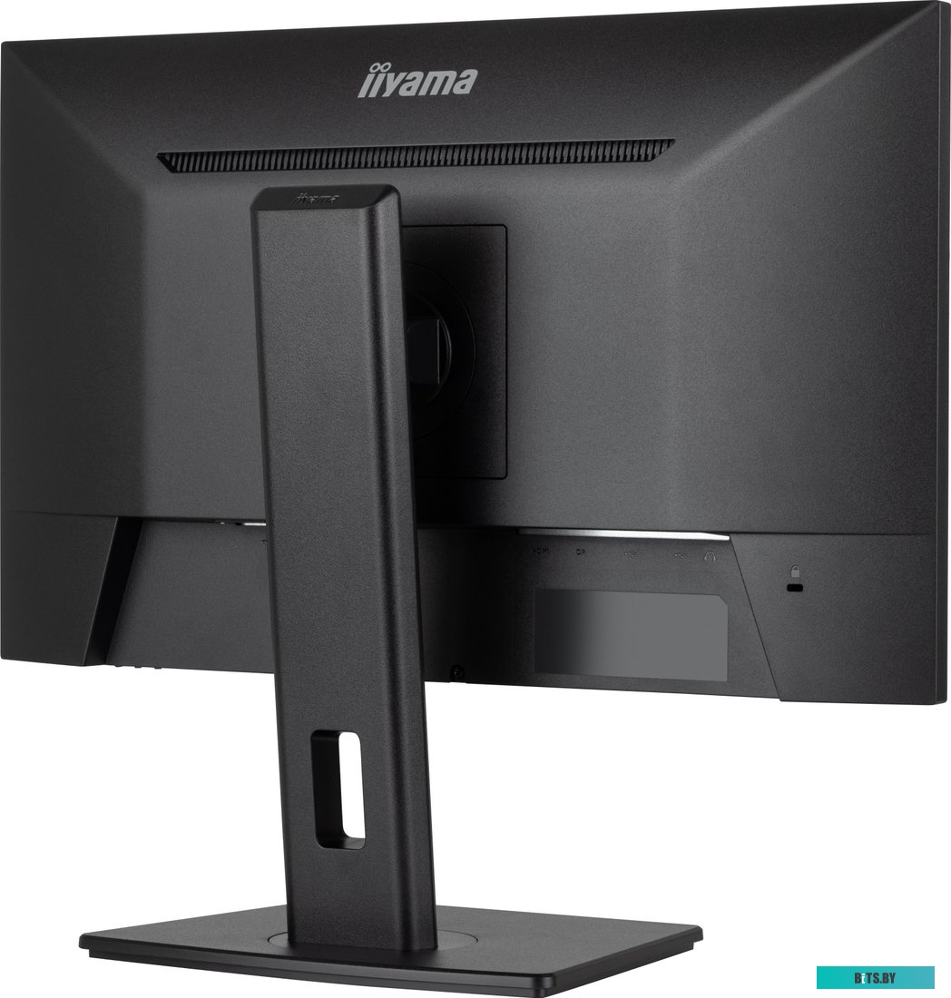 Монитор Iiyama ProLite XUB2493HSU-B7