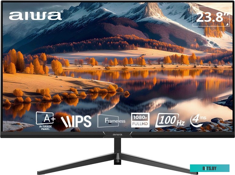 Монитор Aiwa FB-24F100-V1