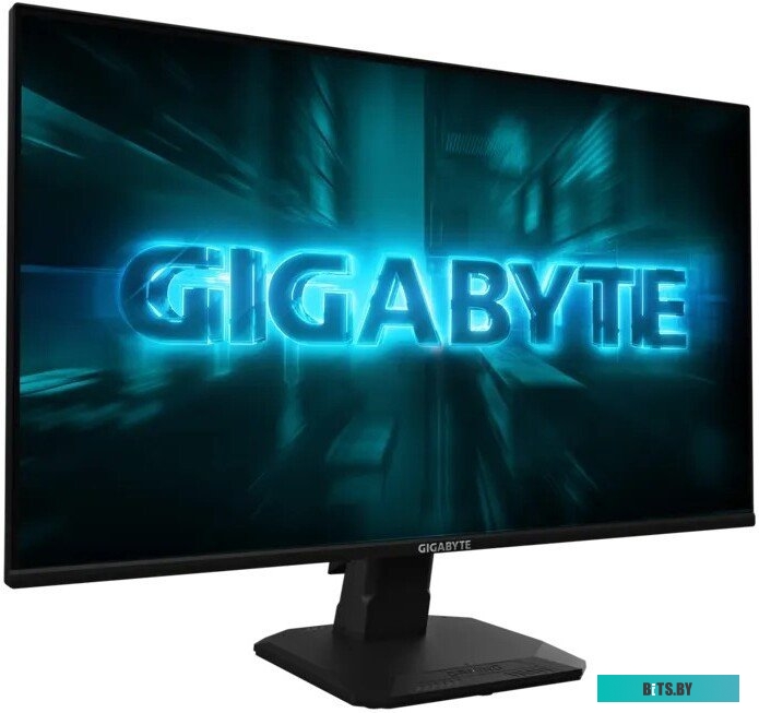 Gigabyte GS25F2A