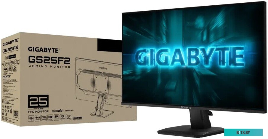 Gigabyte GS25F2A
