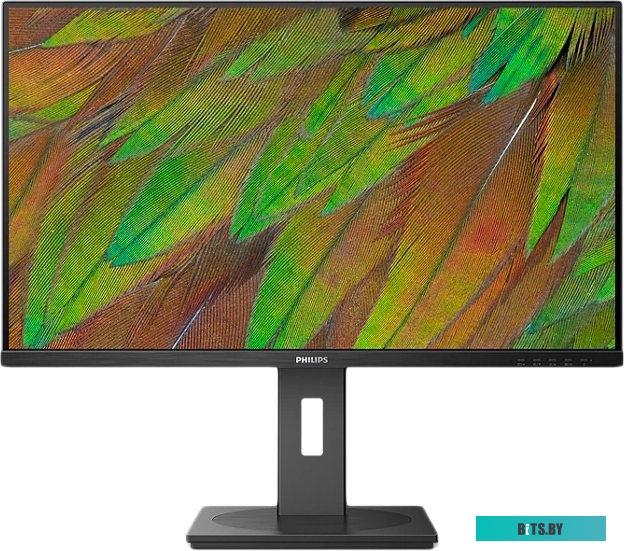 Монитор Philips 32B1U3900/00