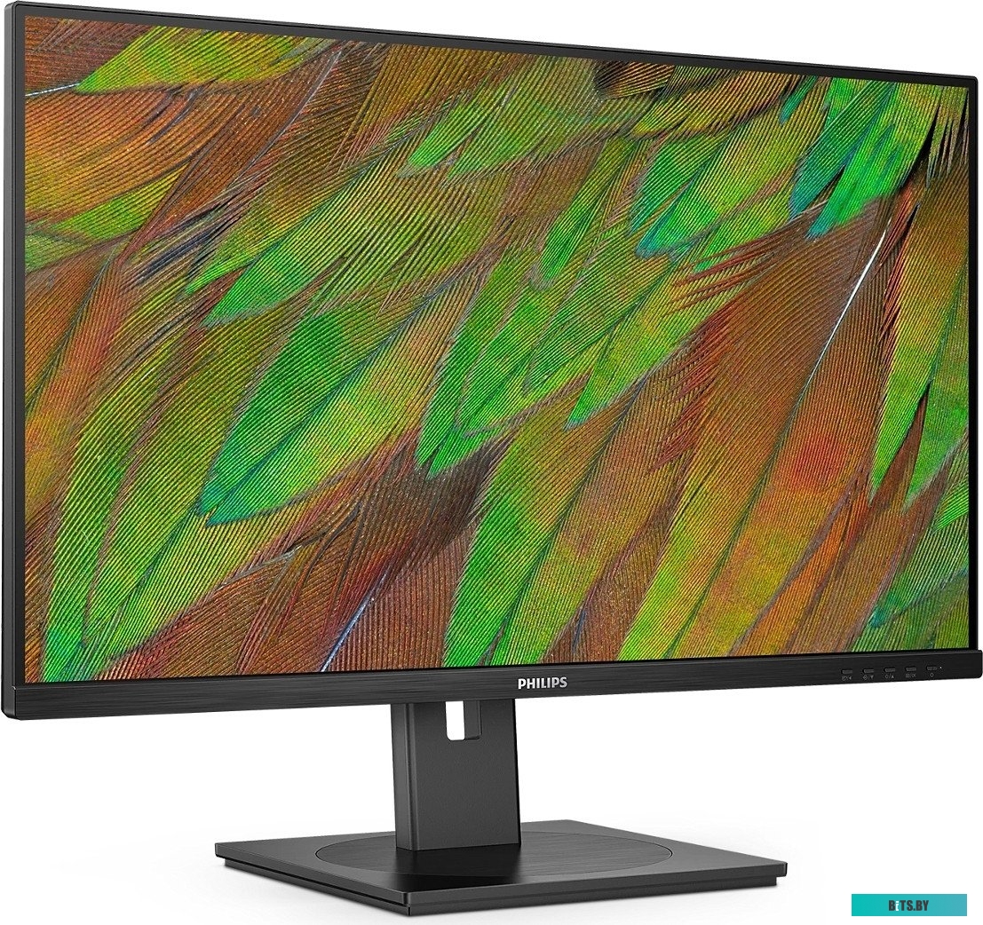 Монитор Philips 32B1U3900/00