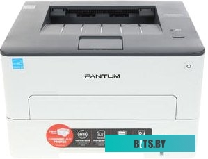 Принтер Pantum P3010D