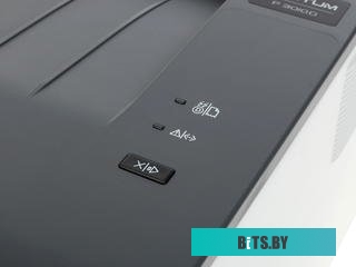 Принтер Pantum P3010D