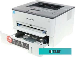 Принтер Pantum P3010D