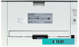 Принтер Pantum P3010D