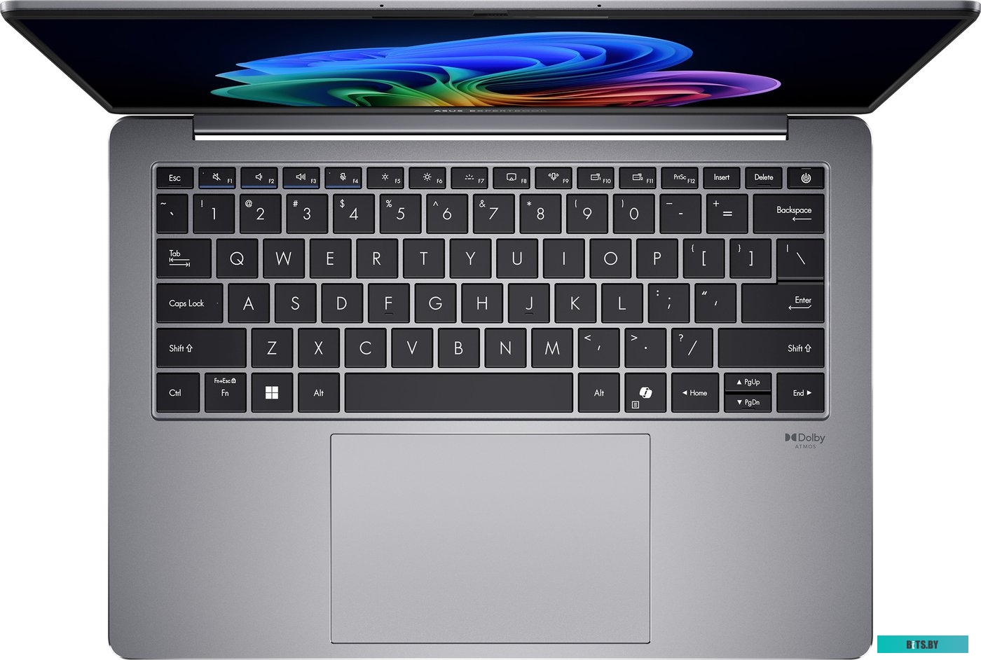 Ноутбук Asus ExpertBook P5 P5405CSA-NZ0300X 90NX0861-M00CH0