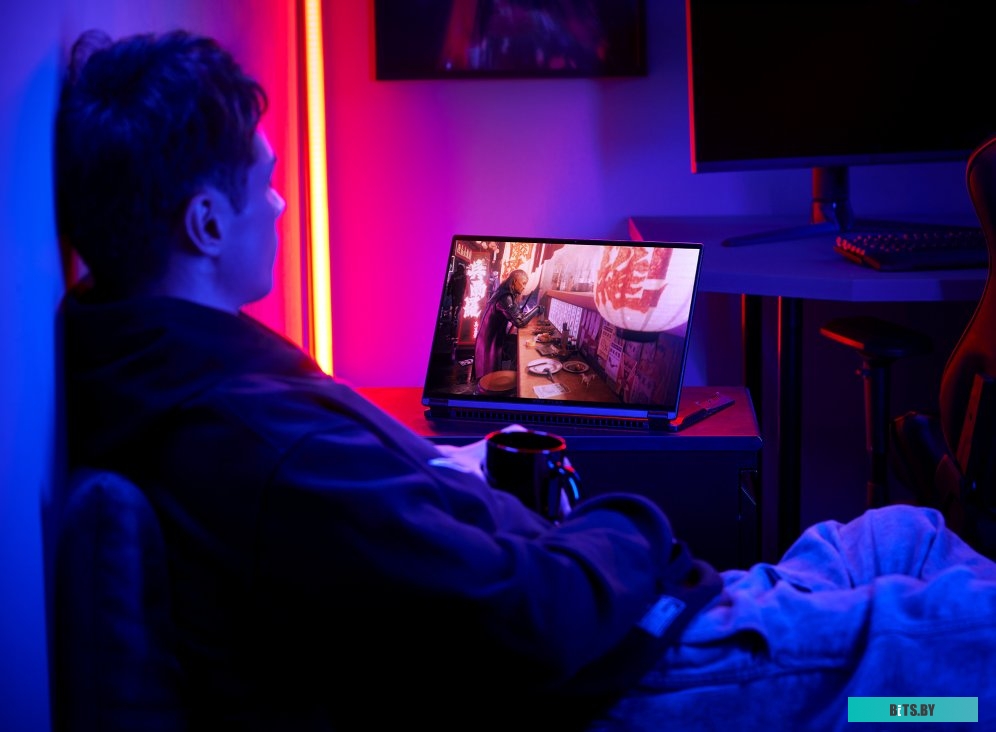 Ноутбук Asus ROG Flow X13 GV601RW-M6065W + внешняя RX 6850M XT
