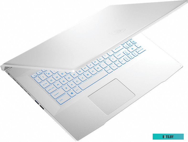Ноутбук MSI Sword 17 A11UD-809XRU