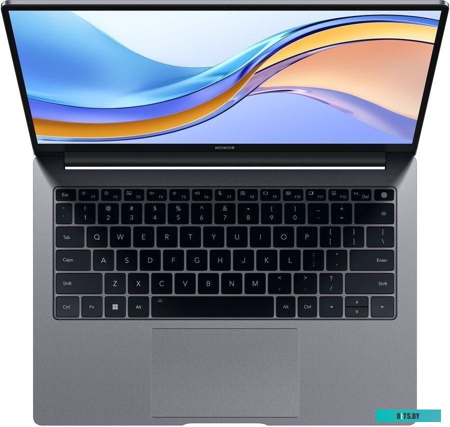 Ноутбук Honor MagicBook X 14 FRI-F58 14" IPS FHD/Intel Core i5 12450H/8Gb/512Gb SSD/VGA int/Windows11/gray