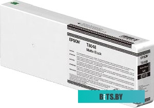 Картридж Epson C13T804800